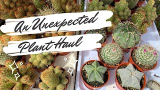 An Unexpected Plant Haul (Cactus and Succulents)