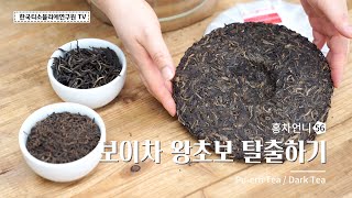 [Sub] Drink Pu-erh Tea like a pro! #Darktea #Korea Tea Sommelier Institute