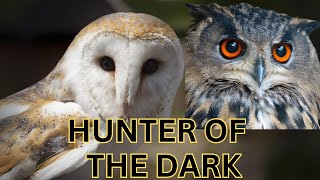 Mysterious Night Watchers: The Majestic Owl Chronicles