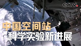 中国空间站科学实验取得哪些新进展？颗粒振动实验 首次观察到反“巴西果”效应 | CCTV中文《新闻直播间》