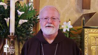 Easter Blessing from Cardinal Seán O'Malley