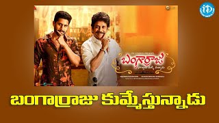 బంగార్రాజు కుమ్మేస్తున్నాడు Bangarraju Box Office Collection #Bangarraju ||iDream Telugu News