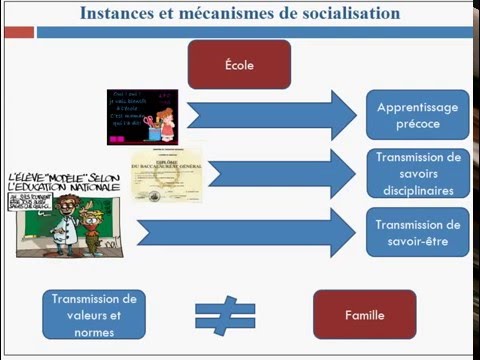 Instances Et Mécanismes De Socialisation - YouTube