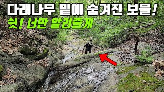 약초산행! 나무 밑에 숨겨진 비밀? 쉿~ 너만 알려줄게! 절벽타고 마지막 숨겨진 보물을 찾아서.. 시골 강아지와 약초꾼의 리얼 야생 진짜 방송! Country life