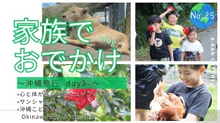 【家族でおでかけ Part25】 沖縄旅行 -day3-