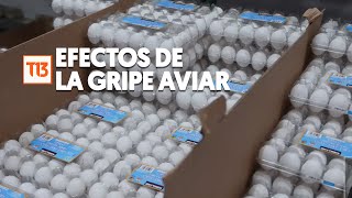 Limitan la venta de huevos por escasez en Estados Unidos