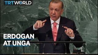 Erdogan calls for peace in Syria, Ukraine at UNGA