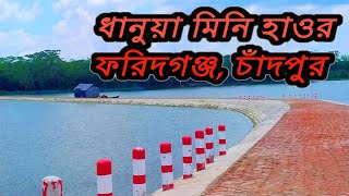 ধানুয়া মিনি হাওর !! এ যেন মিনি লিকলী হাওর!! Dhanua Haor | Mini Nikli Haor| Chadpur