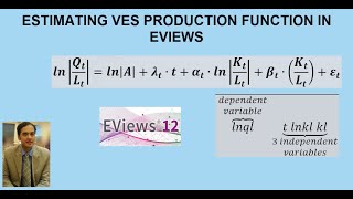 Estimating VES Production Function in Eviews