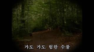 산길(양주동시. 박태준곡) - 선명회합창단