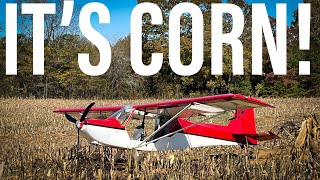 Landing In A Corn Field..