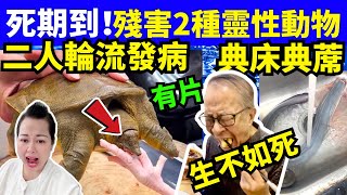 有片雙雙出事 河馬償還孽債 黃鱔水魚顯靈？唯獨一個人去拯救 不是啤酒醫生  何太何伯  何太何生生活语录   Smart Travel《娛樂新聞》東張西望 #舉報何太 #翁靜晶何志華  #cc字幕