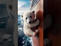 Injured polar bear cub gets help from kind people