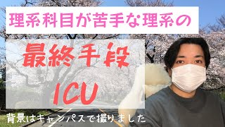 【人生変わった！！】東大大学院卒がICUをお勧めする3つの理由