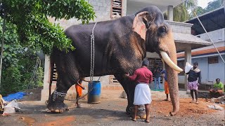 അയ്യപ്പനും ശശിയേട്ടനും 🔥😎 | Mangalamkunnu Ayyappan \u0026 Sasiyettan | Managalamkunnu Ayyappan Latest