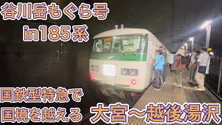 【谷川岳もぐら号】長いトンネルを抜けて国境を超えろ！185系で行くもぐら駅の旅！\