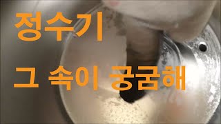 정수기 청소 방법 - 내부가 생각보다 더럽네