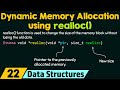 Dynamic Memory Allocation using realloc()