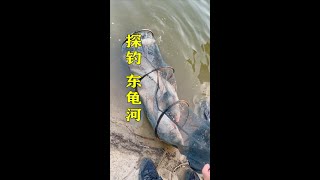 釣魚【探釣武漢網紅釣點東荊河，結識了很多新的釣友，看看最後我們的收穫還可戶外釣以吧？  】野釣#戶外#技巧