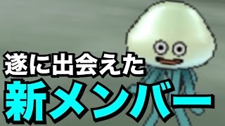 【DQMJ3】#5 スライム系だけでクリアを目指す【実況】