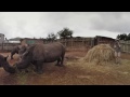 Care for Wild Rhino Sanctuary 360° Look