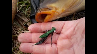 Rák (Foam crayfish fly) - műlégykötés