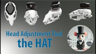 Custom Implant System for Head-Restrained Neural Recordings: The Head Attachment Tool (HAT)