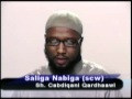 Saliga Nabiga (scw)