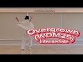 Overgrown (WDM25) Line dance/Intermediate/오버그로운 라인댄스 
