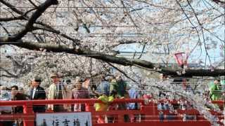 「奥の細道むすびの地記念館」オープンイベント.wmv