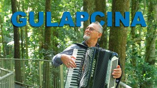 GULAPCINA - Lazar Jankulovski