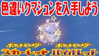 【ポケモンSV】色違いクマシュンを入手しよう【ポケットモンスター スカーレット・バイオレット】Pocket Monsters