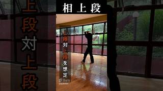 【左上段の構え】相上段(上段vs上段)を練習 【剣道上段】 #剣道 #上段 #kendo #jodan #剣術