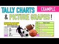 Tally Charts and Picture Graphs Explained!