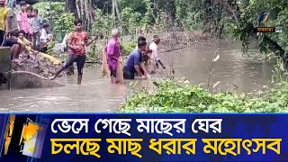 বন্যায় ভেসে গেছে কোটি কোটি টাকার মাছের ঘের | Maasranga News