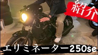 エリミネーター250se愛車紹介！！ 『やっぱりエリミかっこいいわ』