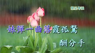 風雨斷腸花  純音樂