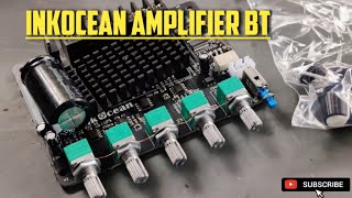 2.1 Amplifier Board! Inkocean Unboxing and testing