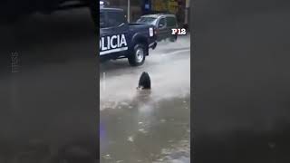 🌧 Las impactantes imágenes del temporal en Mendoza