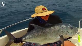 21kg Epic GT topwater popper fishing | South Pacific