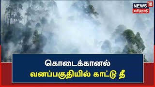 Kodaikaanal வனப்பகுதியில் காட்டு தீ -  தீயை அணைக்க முடியாமல் வனத்துறையினர் திணறல்