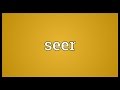 Seer Meaning