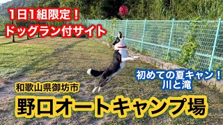 和歌山県御坊市『野口オートキャンプ場』に行ってきました！限定のドッグラン付サイト。ボーダーコリーの誕生日に、初の夏キャンプ&バースデーキャンプ😊川あり滝あり、酷暑キャンプの洗礼を受けました😅