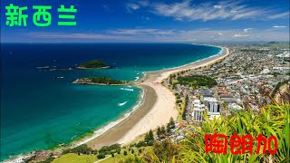 【新西兰档案012】新西兰城市之陶朗加Tauranga