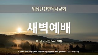 2025년 2월 6일 | 새벽예배 | 요한복음 10:22-31  최시영목사