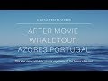 Aftermovie Dolphin Tour Azores Portugal