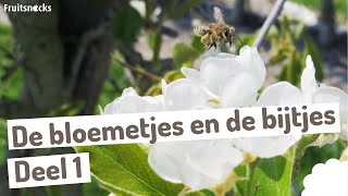 DE BLOEMETJES EN DE BIJTJES - Deel 1