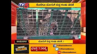 ರಾಮನಗರದಲ್ಲಿ ಚಿರತೆಯೊಂದು ಬೋನಿಗೆ ಬಿದ್ದಿದೆ | Ramanagara | TV5 Kannada