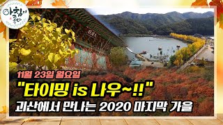 2020년 가을도 이제 얼마 안 남았다! 언택트 쉼터, 괴산의 가을 풍경 | 아침이 좋다 | 11월 23일