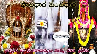 ఫాలధార పంచధార తీర్ధం| ఆదిశంకరచార్యులు తపస్సుచేసిన ప్రాంతం|Srisailam Importance|Srisailam temple